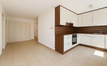 Wohnung 3.5 Zimmer - image - 2
