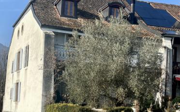 Single house 7 rooms - image - 1