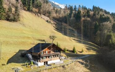 Chalet 7 Zimmer - image - 2