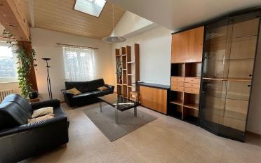 Shop 6.5 rooms - image - 4