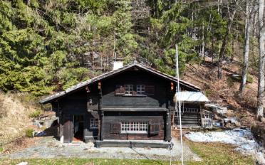 Chalet 3.5 pièces - image - 1