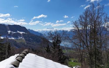 Chalet 3.5 pièces - image - 3