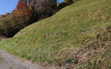 Terrain à bâtir - image - 4
