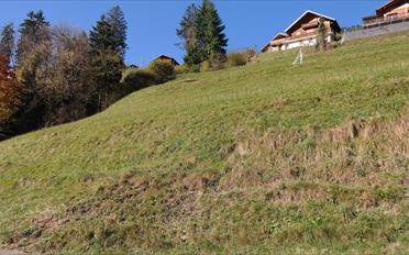 Terrain à bâtir - image - 5