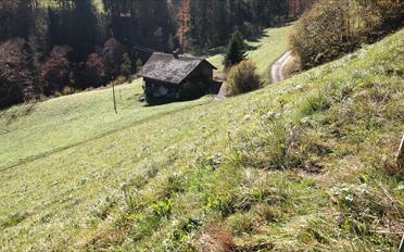 Terrain à bâtir - image - 6