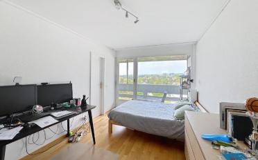 Attic flat 5.5 rooms - image - 4