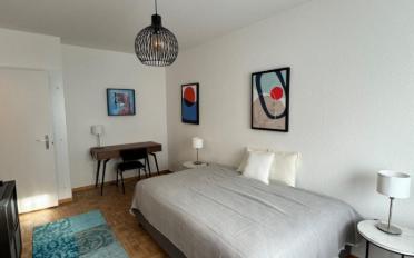 Appartement meublé 1 pièce - image - 7