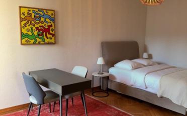 Appartement meublé 1.5 pièces - image - 3