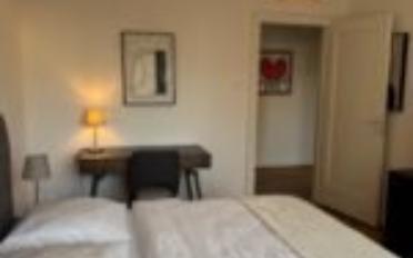 Furnished flat 1.5 rooms - image - 5