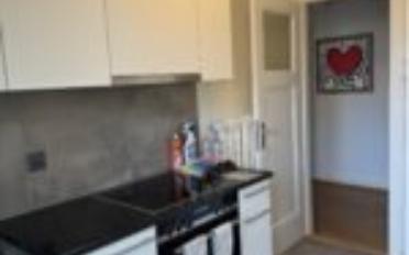 Furnished flat 1.5 rooms - image - 8