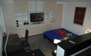 Appartement meublé 1.5 pièces - image - 3