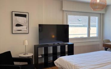 Furnished flat 1 room - image - 8