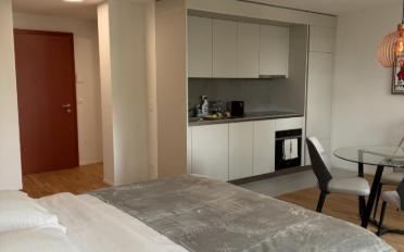 Wohnung ein Zimmer - image - 3