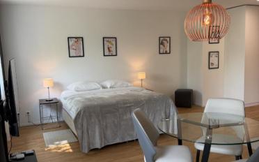 Wohnung ein Zimmer - image - 2