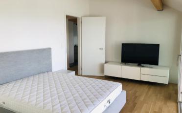 Furnished flat 2.5 rooms - image - 3