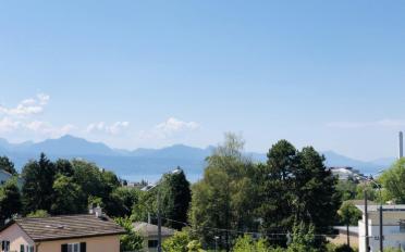 Furnished flat 2.5 rooms - image - 11
