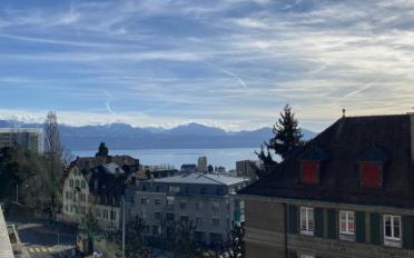 Wohnung 2.5 Zimmer - image - 10