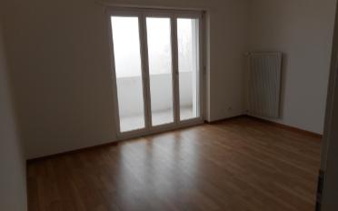 Appartement 3 pièces - image - 5