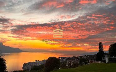 Appartement 3.5 pièces - image - 4