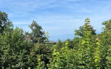 Wohnung 4 Zimmer - image - 7