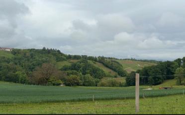 Agricultural land - image - 1