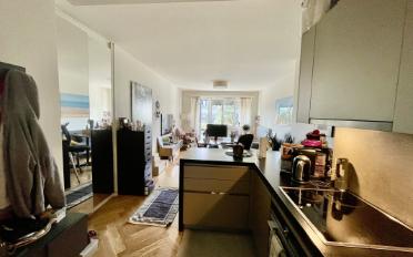Studio - image - 4