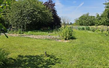 Jardin familial - image - 2