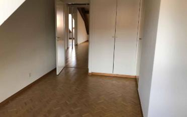 Dachwohnung 4 Zimmer - image - 5