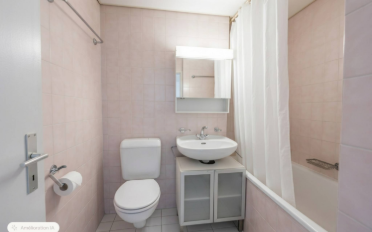 Attic flat 6 rooms - image - 10