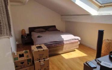 Wohnung 3 Zimmer - image - 3