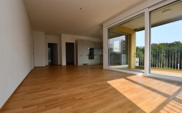 Apartment 2.5 rooms - image - 1