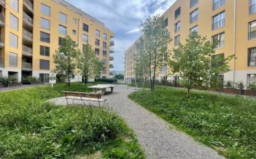 Apartment 2.5 rooms - image - 6