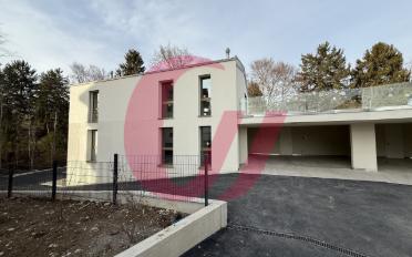 Duplex 5.5 pièces - image - 6