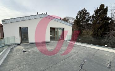 Duplex 5.5 pièces - image - 4