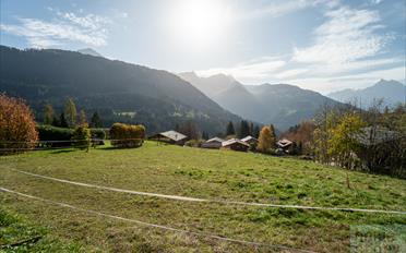 Building land - image - 3