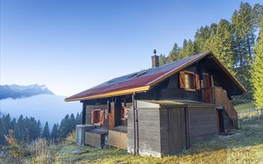 Chalet 7 rooms - image - 8