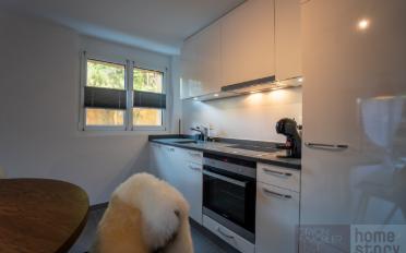 Furnished flat 2.5 rooms - image - 6