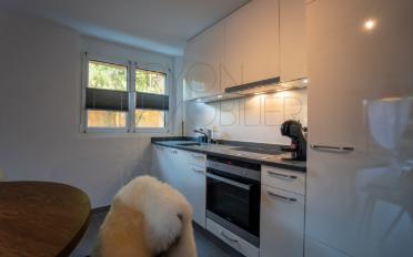 Furnished flat 2.5 rooms - image - 6