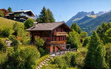 Chalet 8 pièces - image - 2