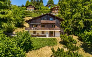 Chalet 6.5 pièces - image - 1