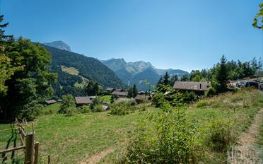 Building land - image - 8