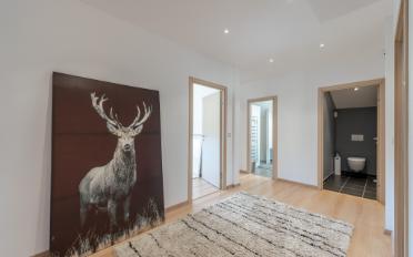 Maison terrasse - image - 5