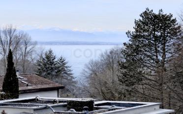Einfamilienhaus 9 Zimmer - image - 1
