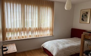 Wohnung 5.5 Zimmer - image - 5