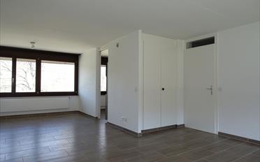 Wohnung 4.5 Zimmer - image - 1