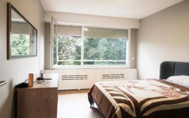 Möbl. Wohnobj. 4.5 Zimmer - image - 5