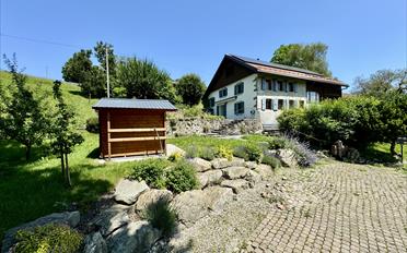 Einfamilienhaus 6.5 Zimmer - image - 1