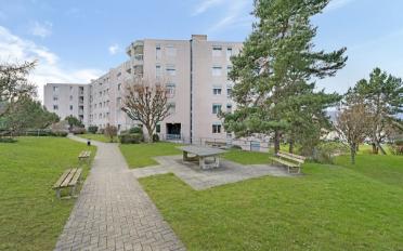 Wohnung 3.5 Zimmer - image - 1