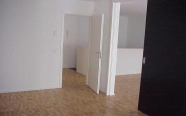 Loft 1 pièce - image - 3