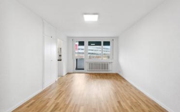 Apartment 1 room - image - 5